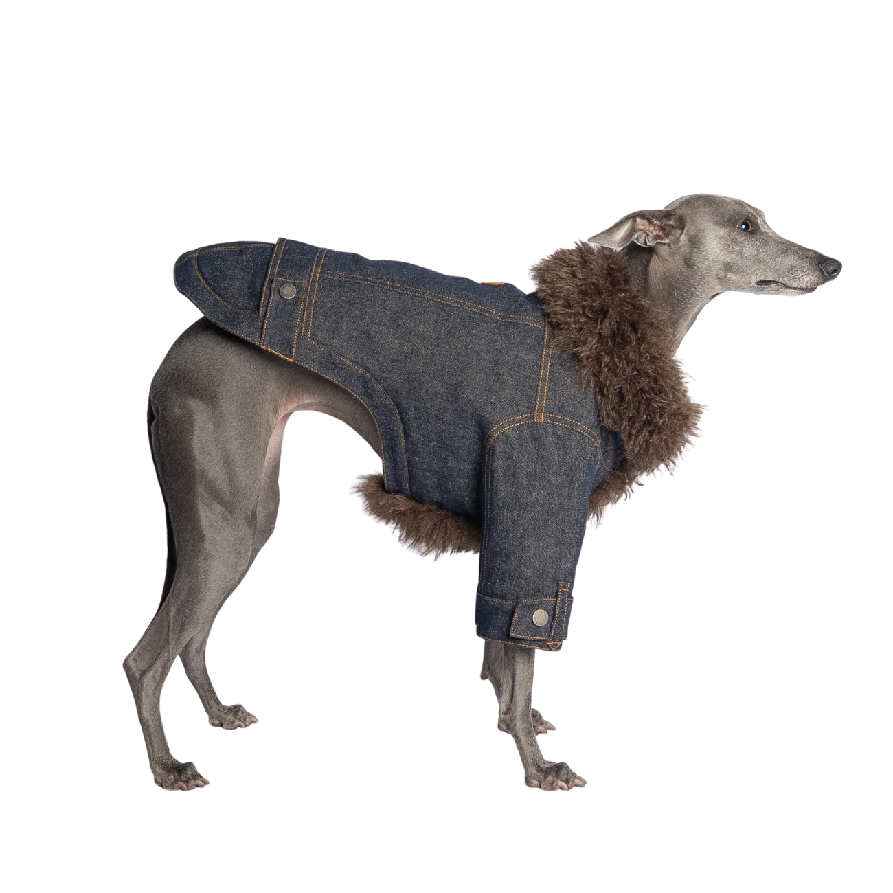 B02 Down Denim Jacket