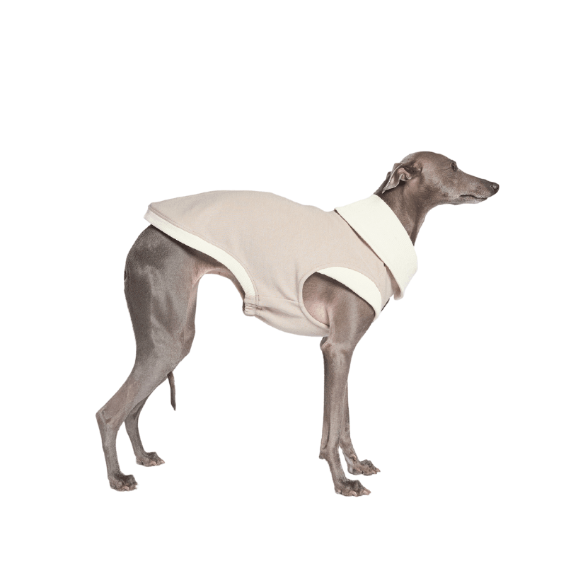 Ivory Asymmetric Collar Tank Top - BONDIR