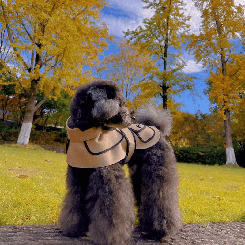 最高のデザイナー犬用コート | 犬用 Obine トレンチコート – BONDIR 最高のデザイナー犬用コート | 犬用 Obine トレンチコート – BONDIR