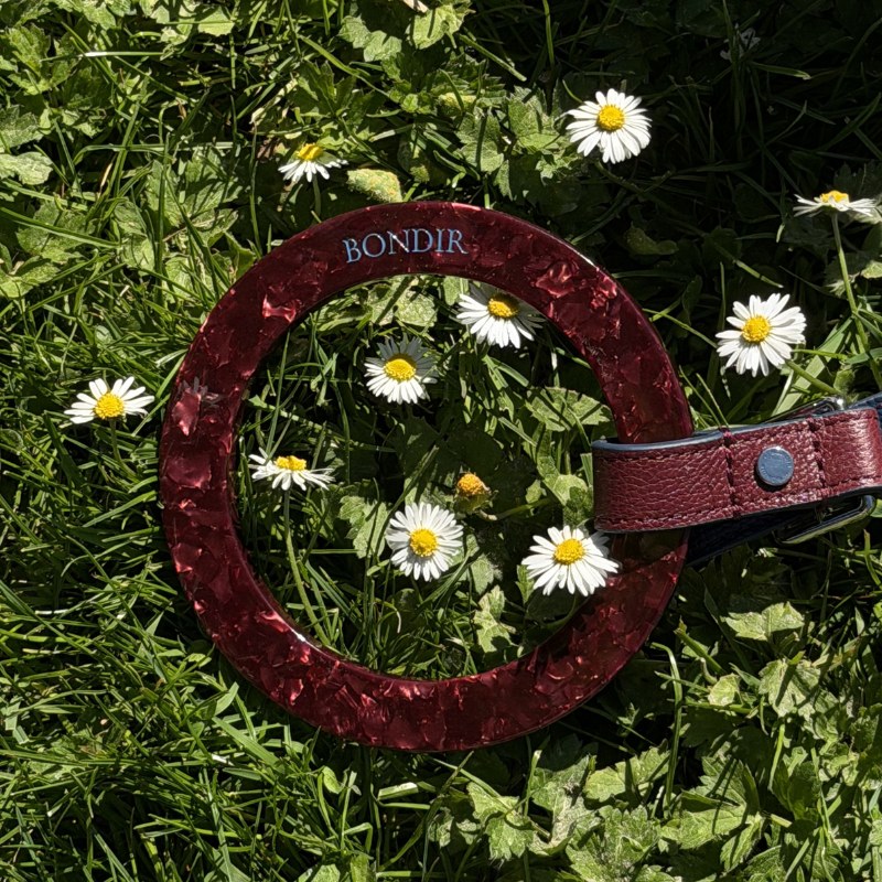Rosette Leather Dog Leash