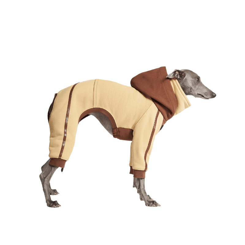 thebondir