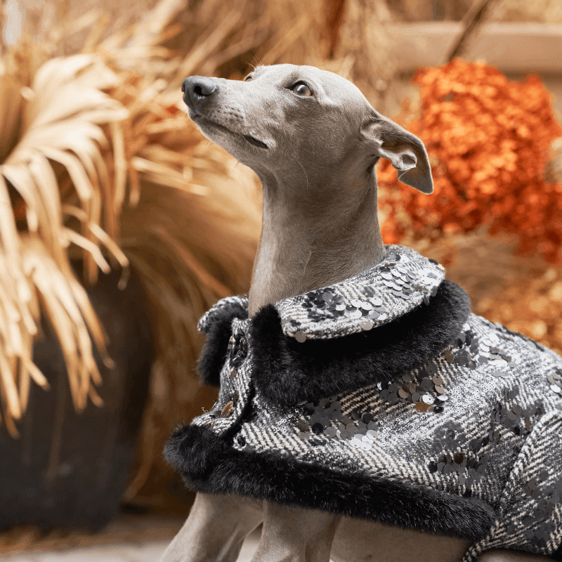 Monocle Double Collar Coat - BONDIR