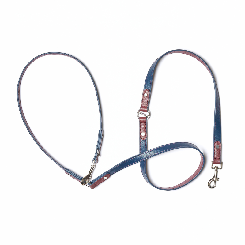 Rosette Hands-Free Dog Leash