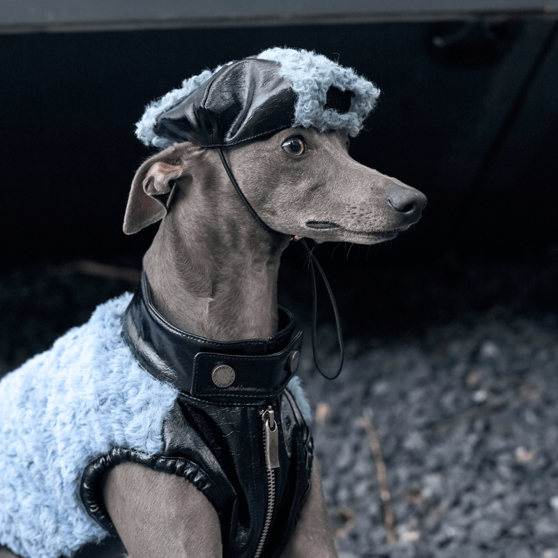 Oceania Dog Beret