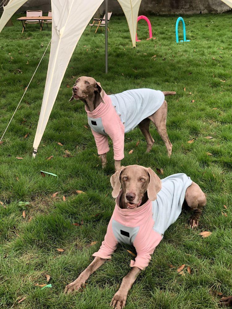 Maeve Sweater - BONDIR