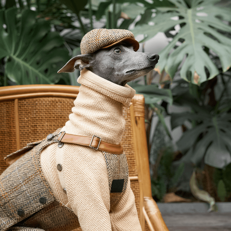 Vellure Dog Newsboy Cap