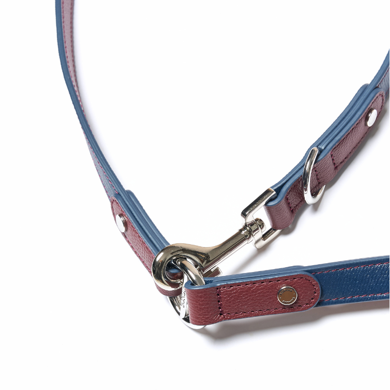Rosette Hands-Free Dog Leash