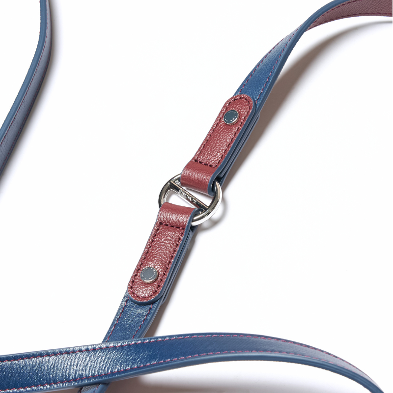 Rosette Hands-Free Dog Leash