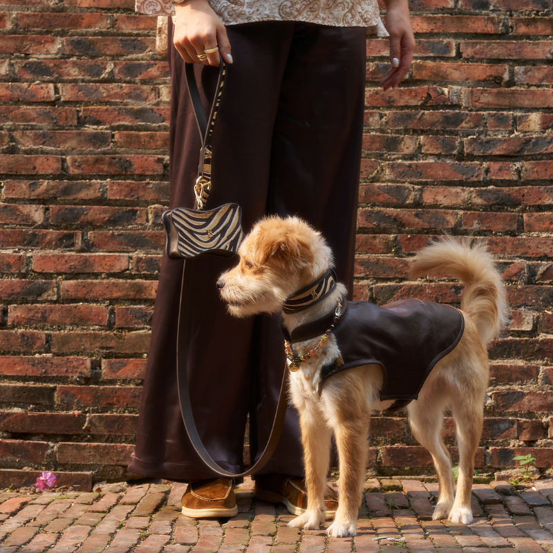 Zambezi Pony Hair Dog Collar