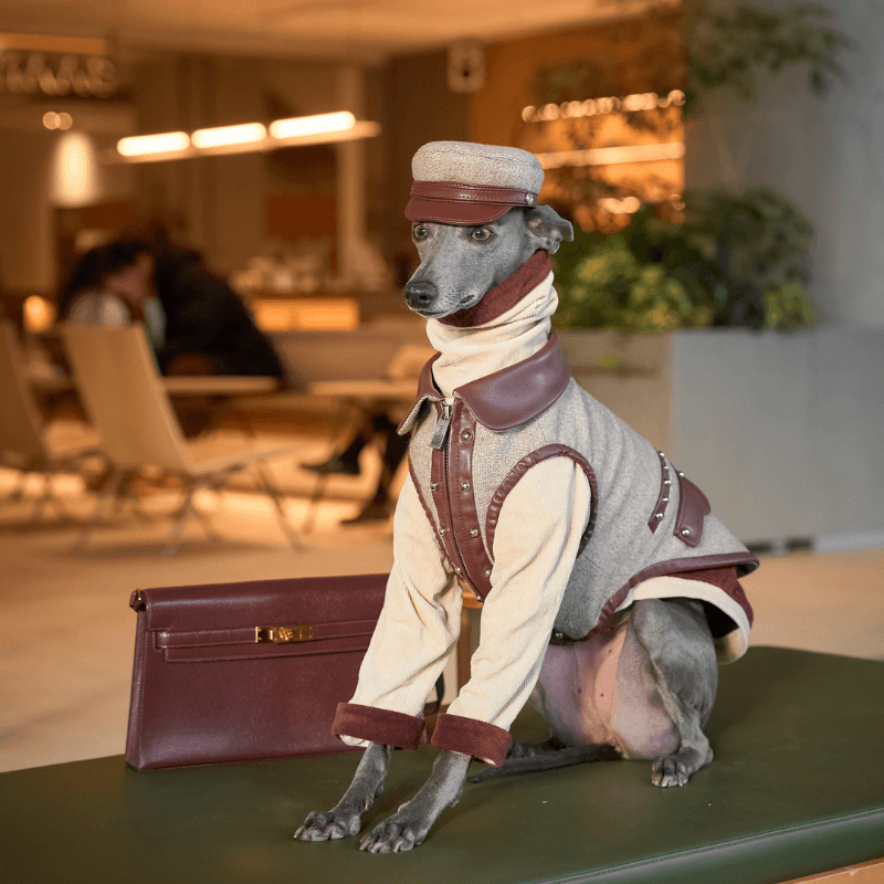 Bordeaux Dog Hat