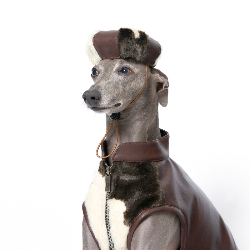 Baxley Dog Beret