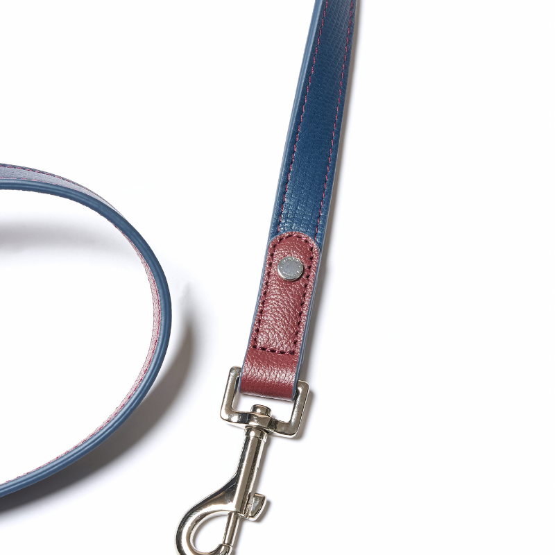 Rosette Hands-Free Dog Leash