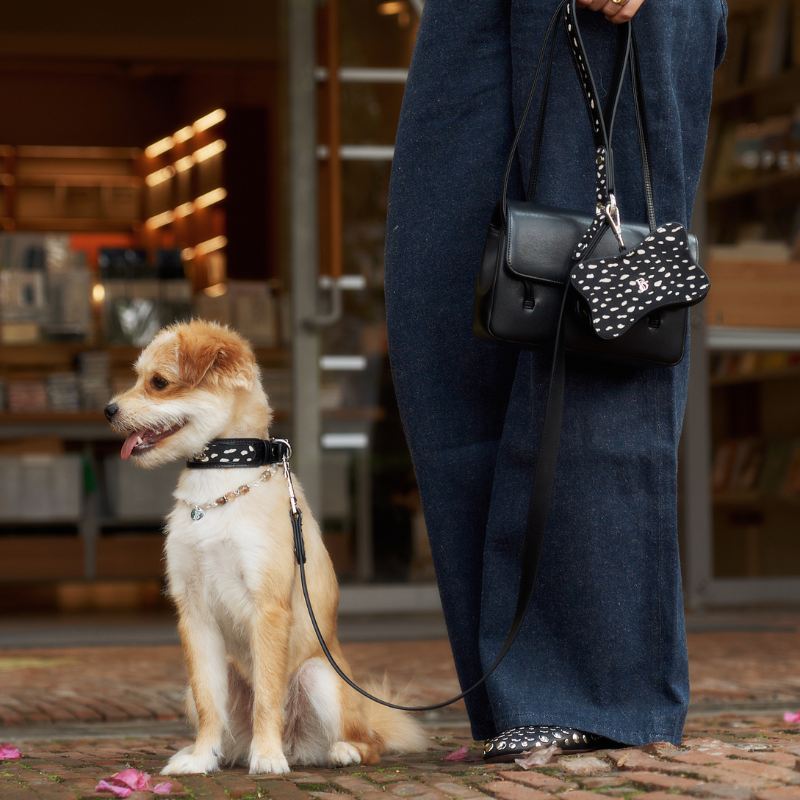 Jungle Fleck Pony Hair Dog Leash