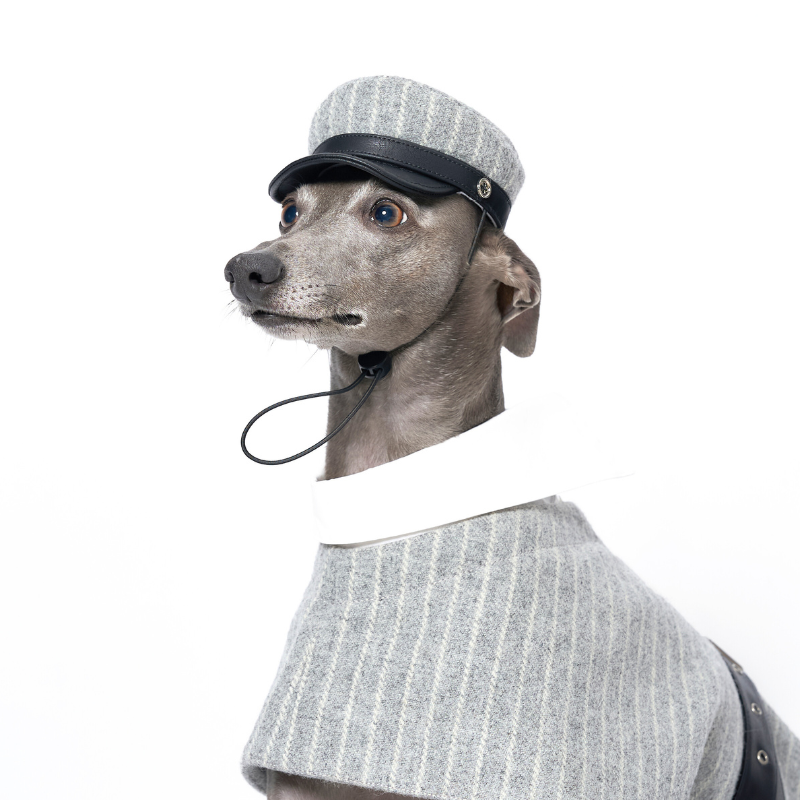 Riverton Wool Dog Hat