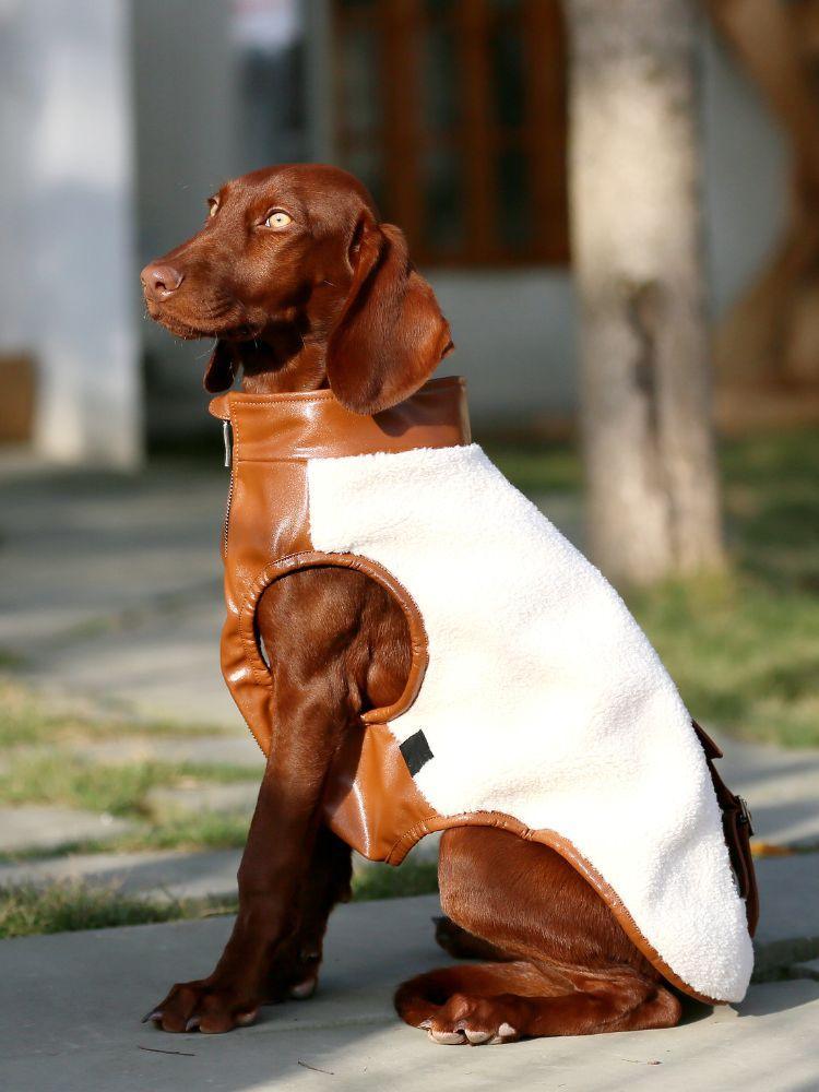 Birchwood Teddy Bear Vest – BONDIR
