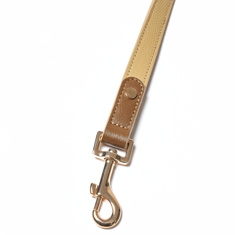 Palais Hands-Free Dog Leash