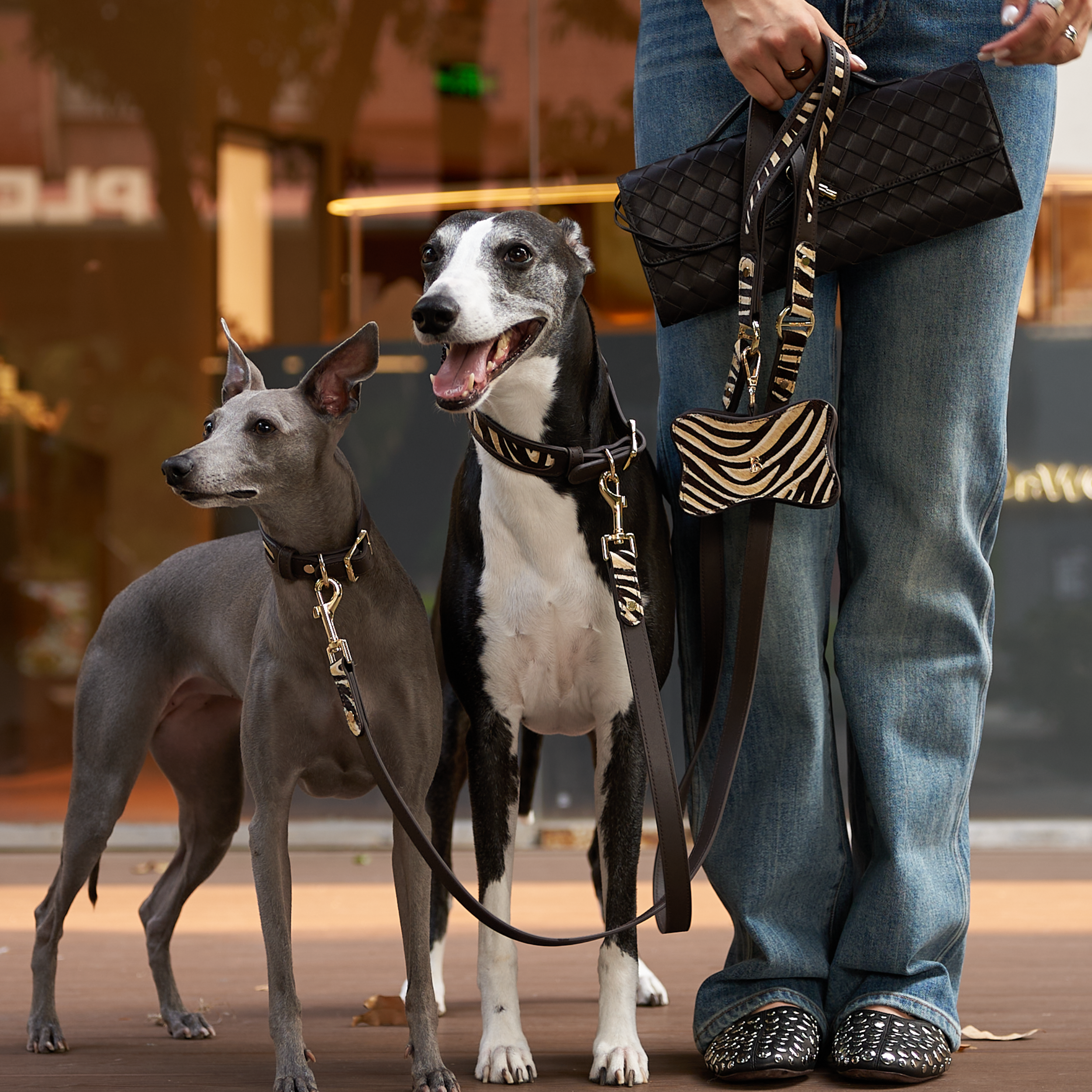 Zambezi Bone Shape Poop Bag