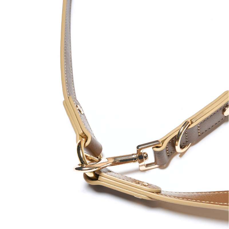 Palais Hands-Free Dog Leash