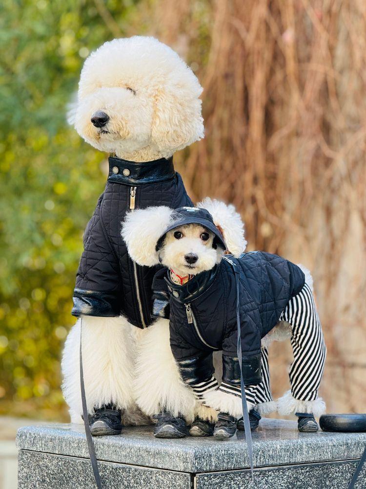Shadow Quilted Jacket - BONDIR