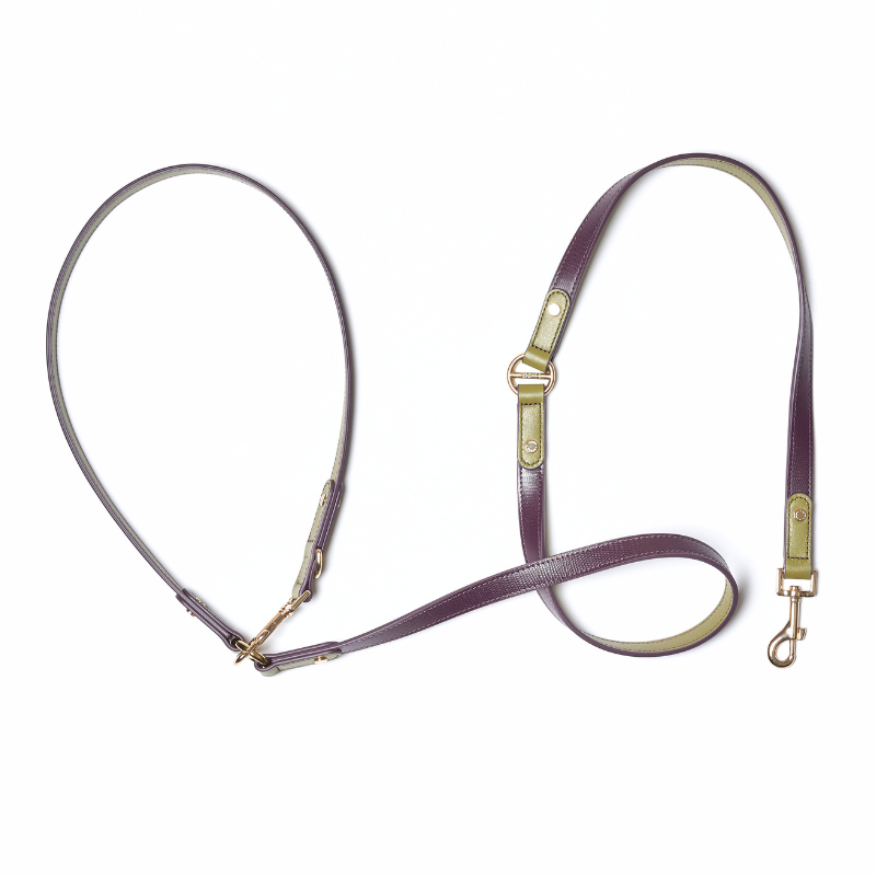Purrble Hands-Free Dog Leash