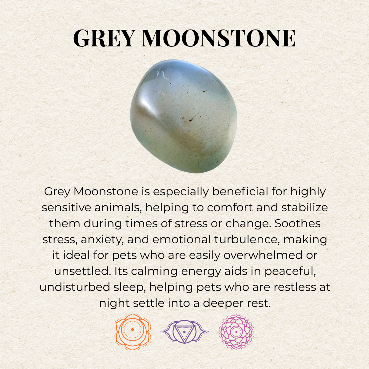 Mordain Pet Crystal Necklace