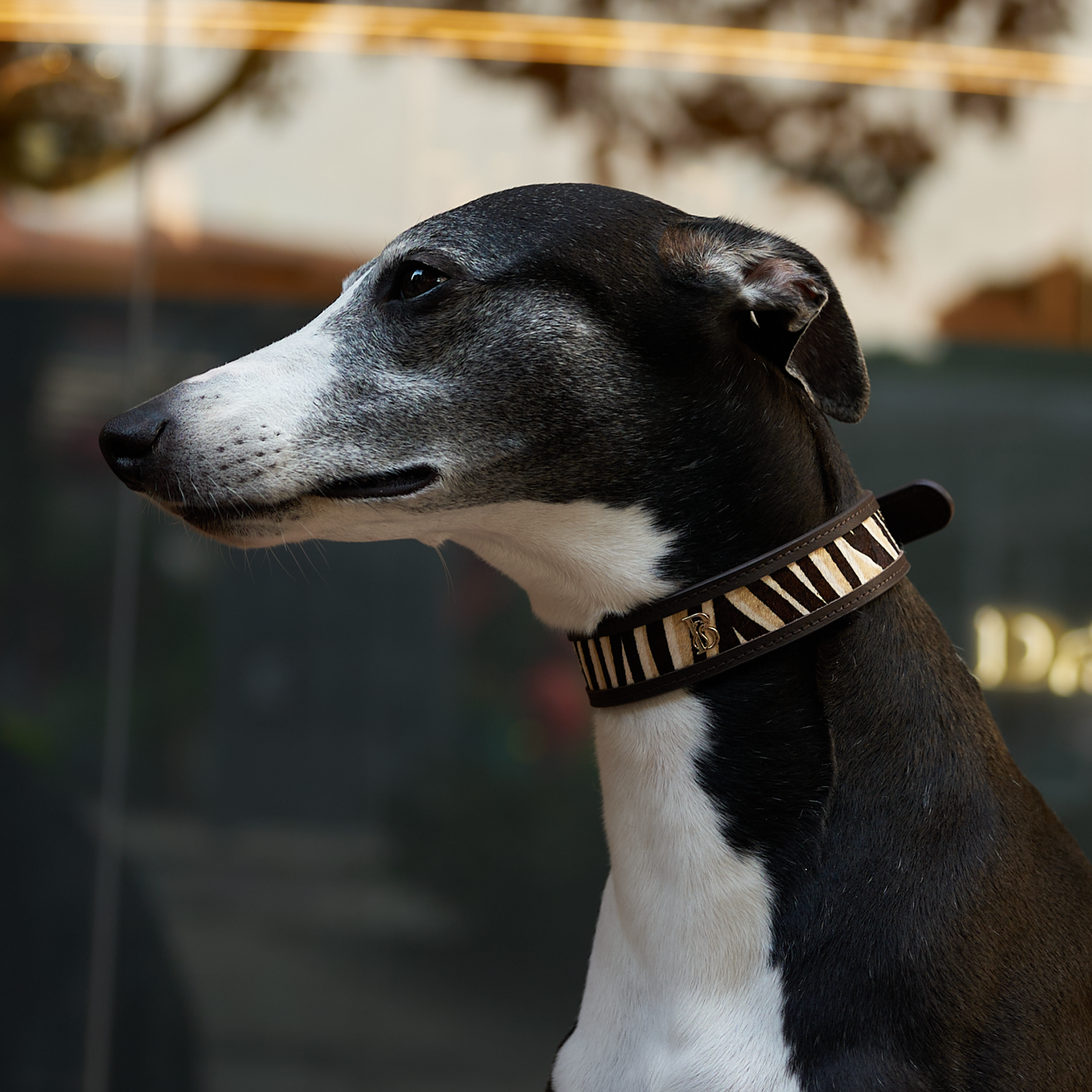 Zambezi Pony Hair Dog Collar