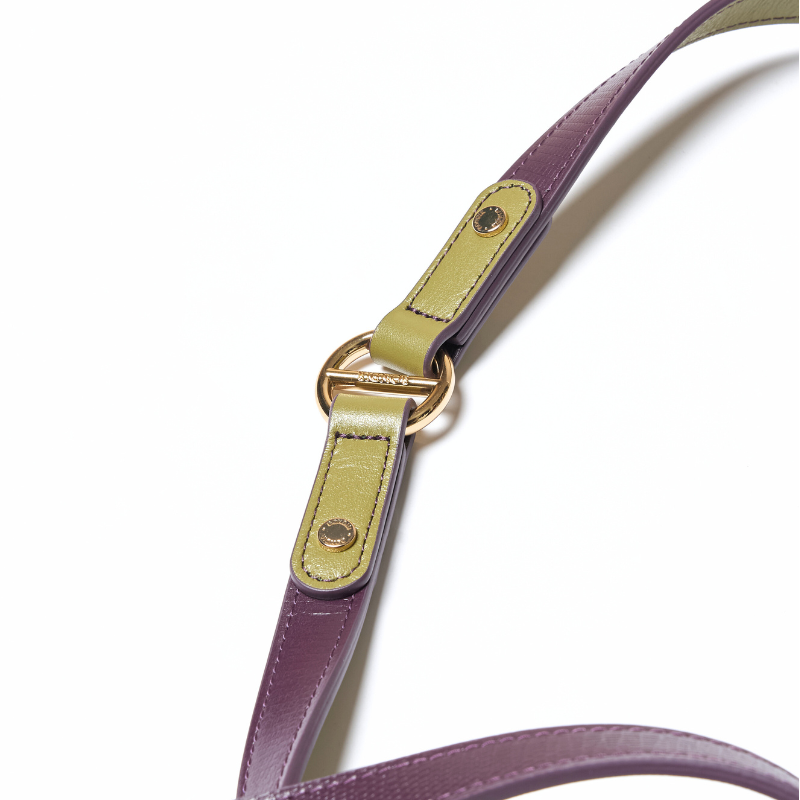 Purrble Hands-Free Dog Leash
