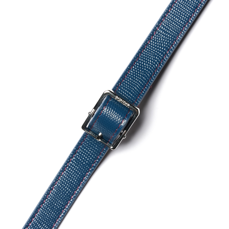 Rosette Leather Dog Leash