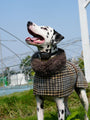 Urban Espresso Coat - BONDIR