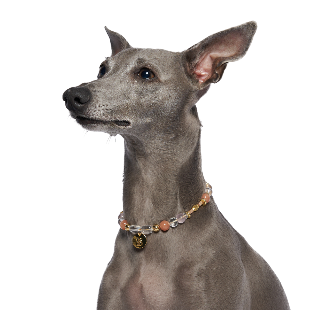Amorette Pet Crystal Necklace