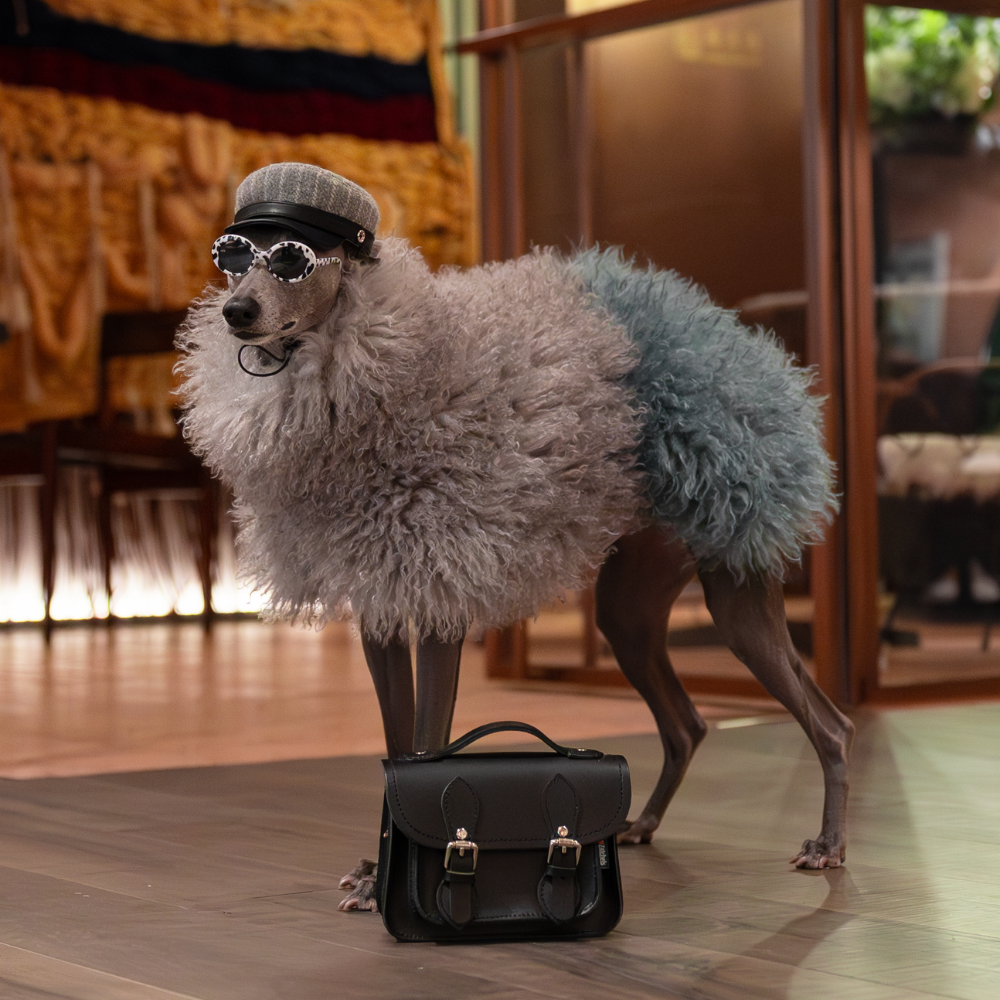 Bleu Saphire Fur Coat
