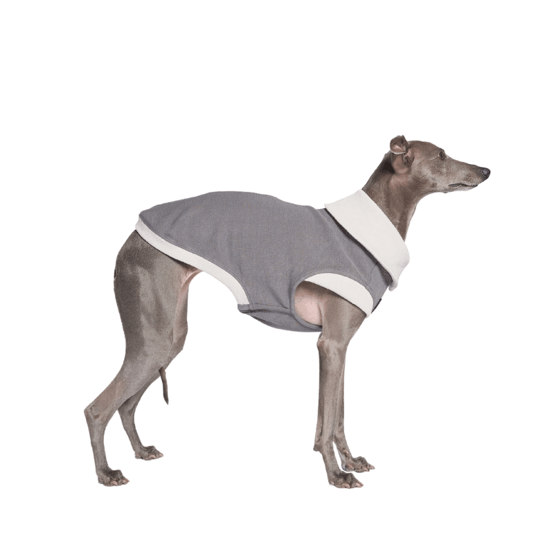 Graphite Asymmetric Collar Tank Top - BONDIR
