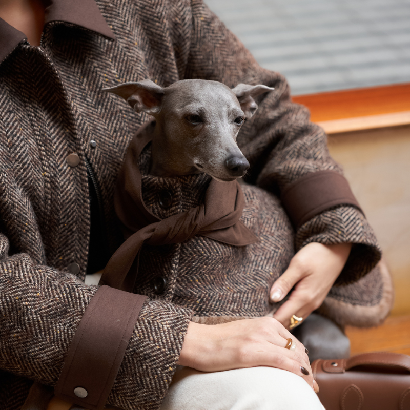 Barrow Hood-Scarf Coat (Pre-order)