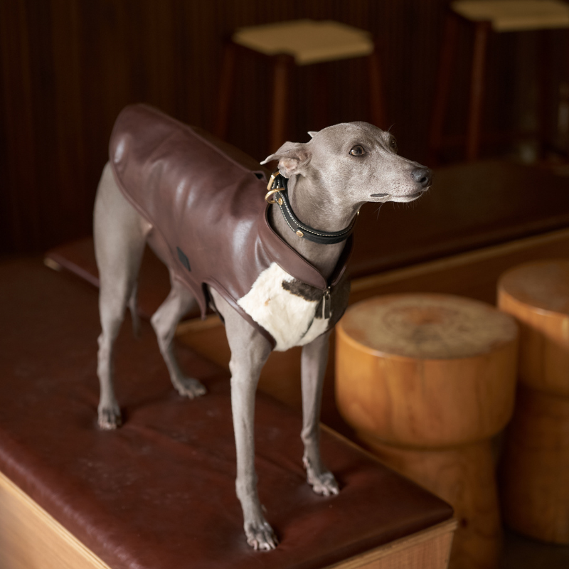 Baxley Cowhide Leather Vest