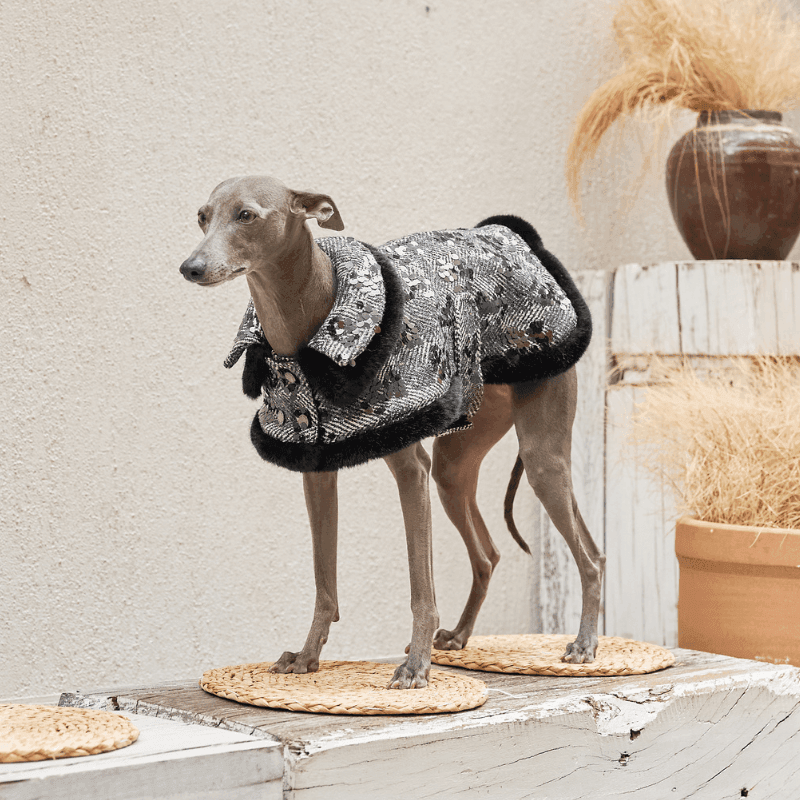 Monocle Double Collar Coat - BONDIR