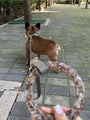 Sand Leather Dog Leash - BONDIR