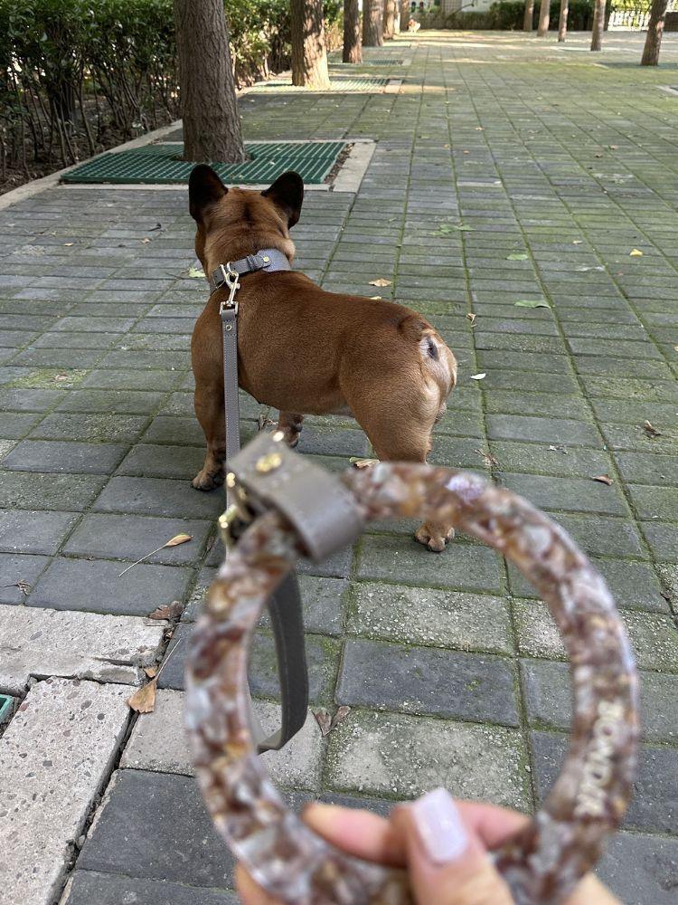 Sand Leather Dog Leash - BONDIR