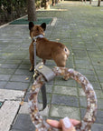 Sand Leather Dog Leash - BONDIR