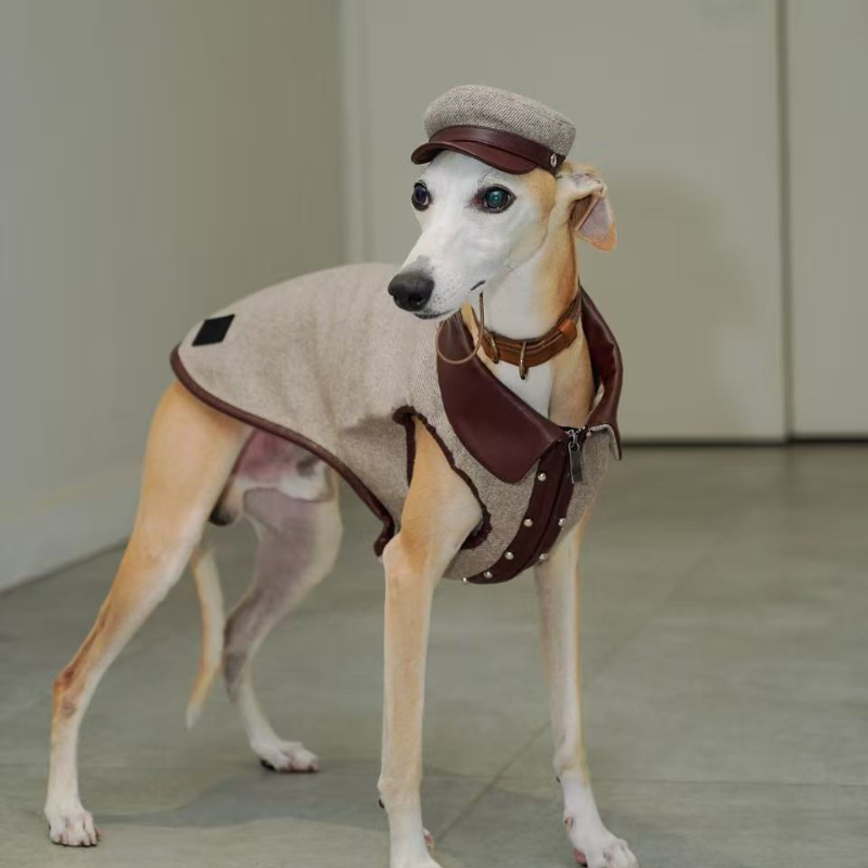 Bordeaux Wool Tweed Stud Vest