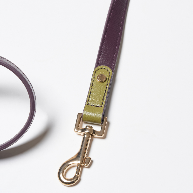 Purrble Hands-Free Dog Leash