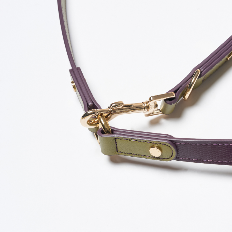 Purrble Hands-Free Dog Leash