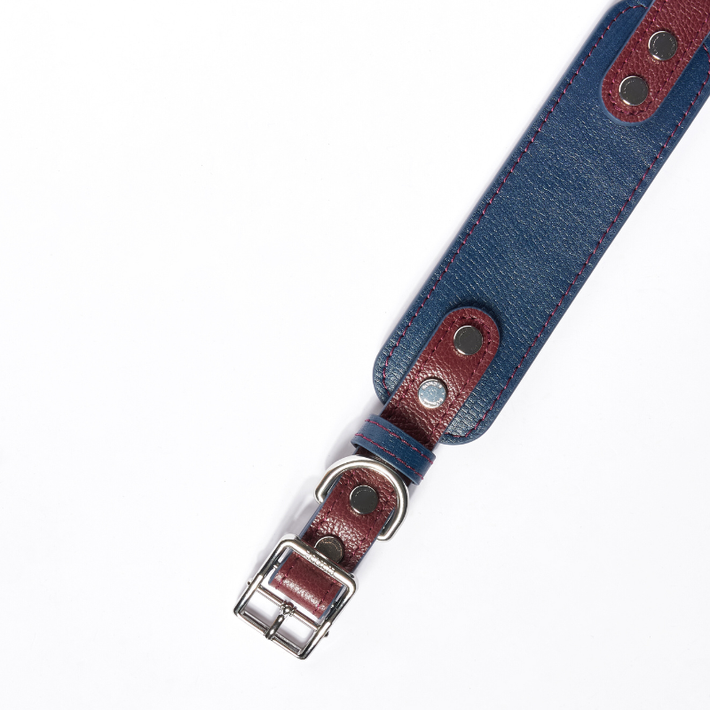 Rosette Leather Collar
