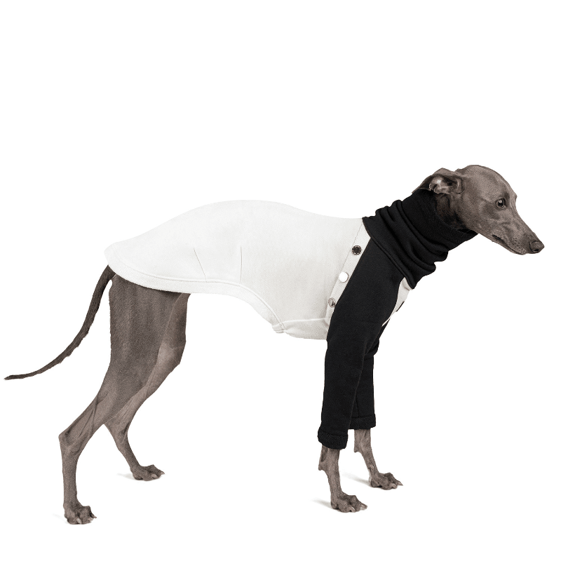 thebondir