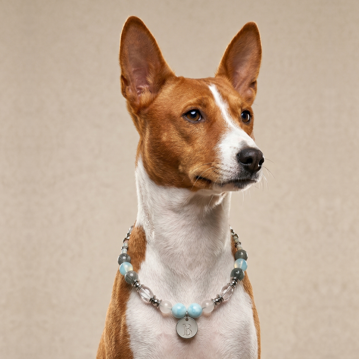 Lumiere Pet Crystal Necklace