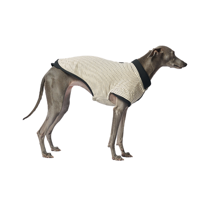 Brexton Double Layer Dog Polo