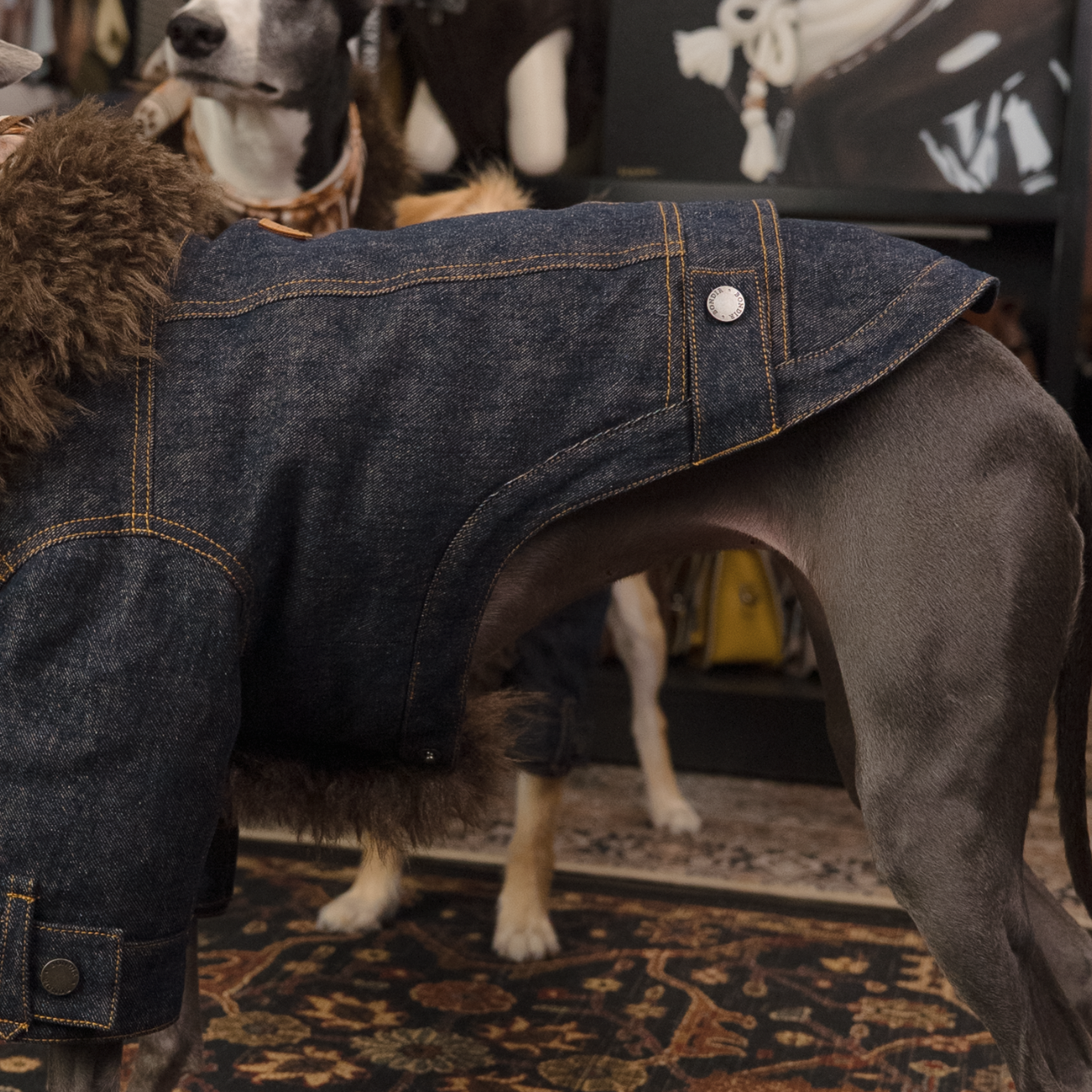 B02 Down Denim Jacket