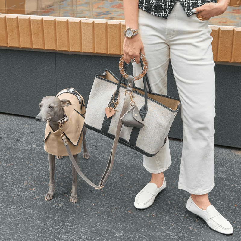 Sand Leather Dog Leash - BONDIR
