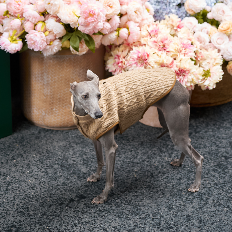 Bruma Ribbed Knit Vest