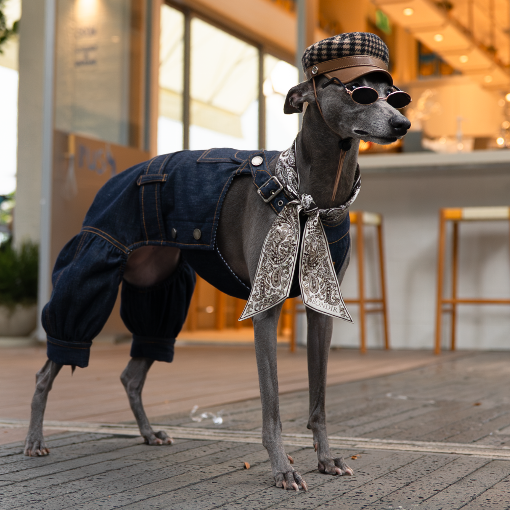 Paisley & Paws Silk Twilly