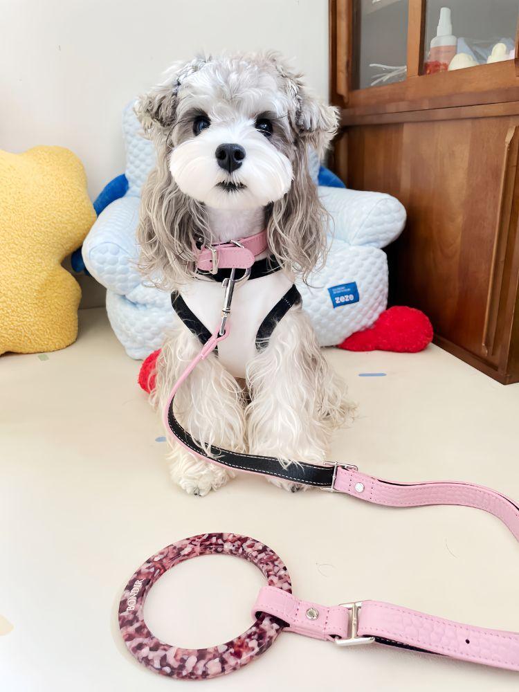 Flamingo Leather Dog Leash